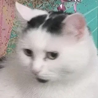 😶