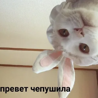 👋