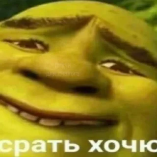 💩