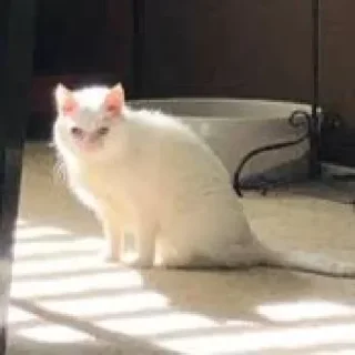 😕