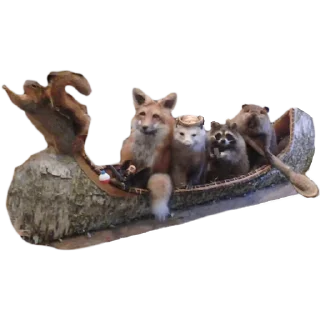 🚤