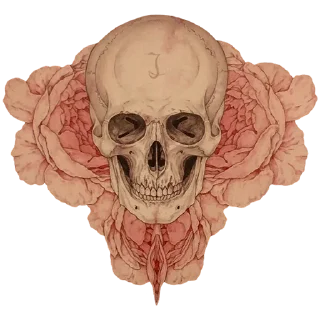 💀