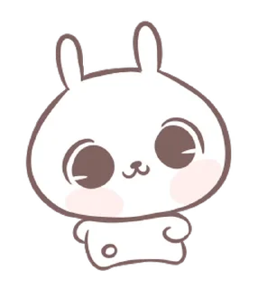 🐼