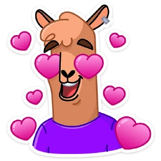 😍