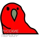 🚬
