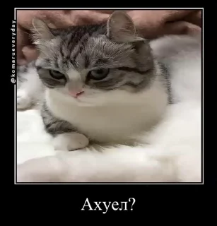 🤨