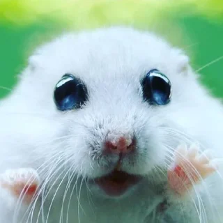 😍