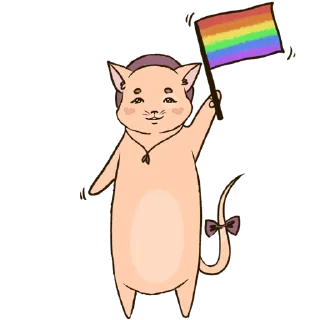 🏳️‍🌈