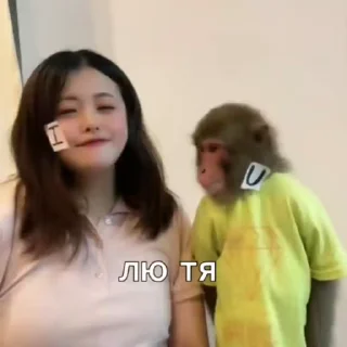 🌟
