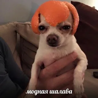 💋