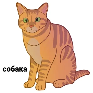 МЕМНЫЕ КОТЫ