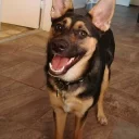 😁