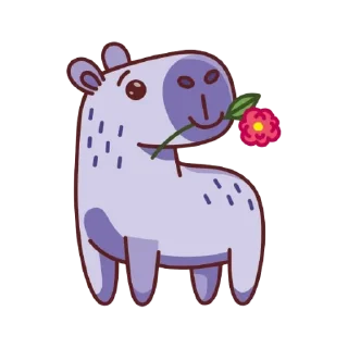 🌺