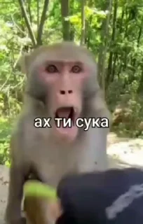 😡