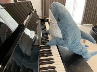 🎹