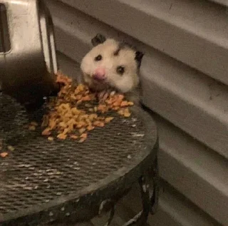 🥴