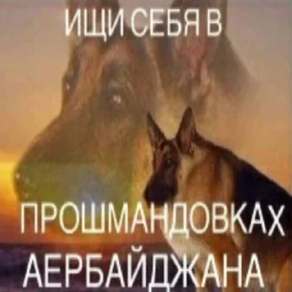 🇦🇿