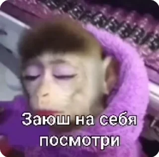Манки by @s13onelove :: @fStikBot