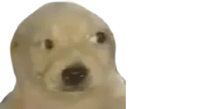 🤨
