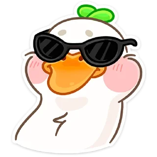 😎