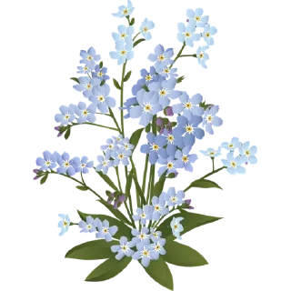 🌸