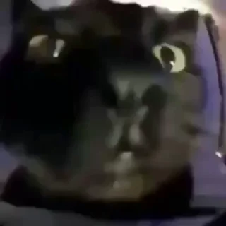 😎