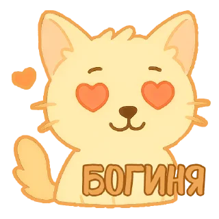 😍
