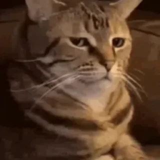 🤨