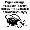 🙈