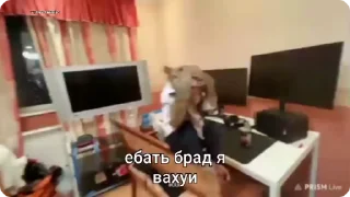 🌟