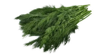 🥦
