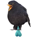 in DROZDeggs colour