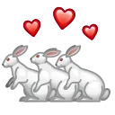 🐇