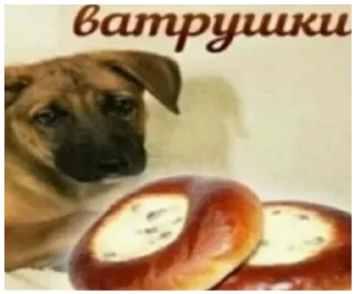 🐕
