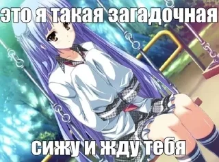 🙀