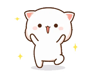 ✨