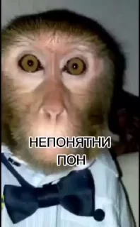 🤨