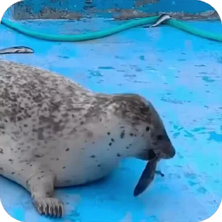 😜
