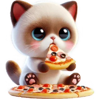 🍕