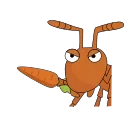 🥕