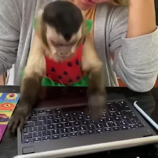💻
