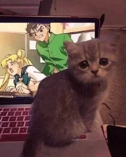 🙈