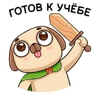 💪