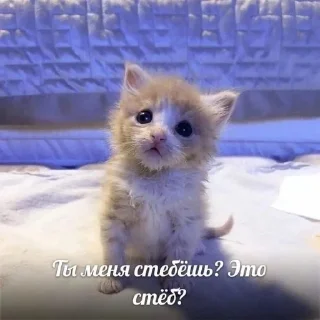 🥺