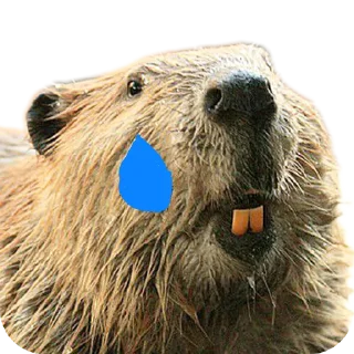 😭