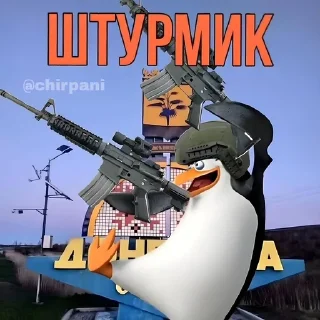 🐧