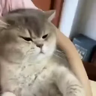 😒