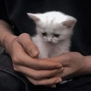 😓