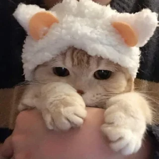❣️