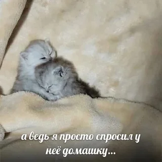 🤍